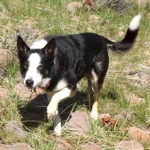 Meet your Posher, Shawna